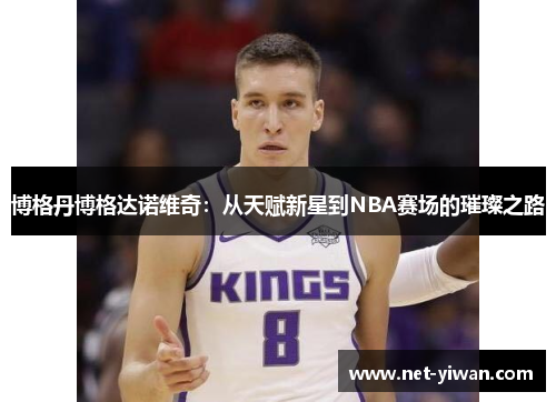 博格丹博格达诺维奇:从天赋新星到NBA赛场的璀璨之路